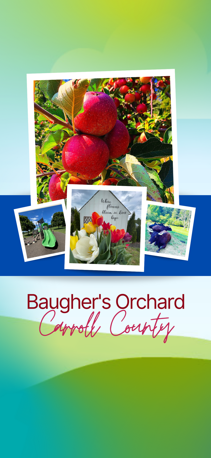 Baugher's Orchard Day Trip Itinerary