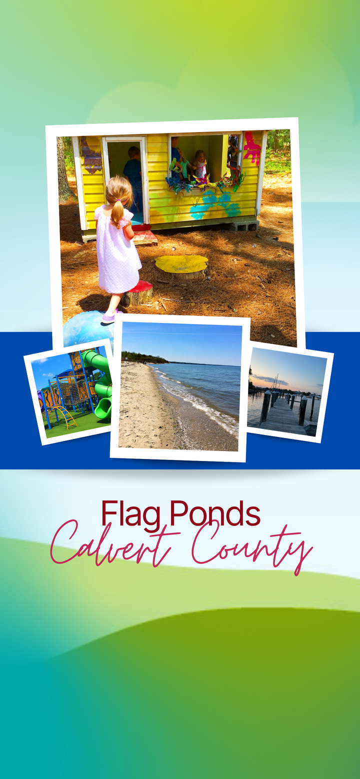 Flag Ponds Nature Park Day Trip Itinerary