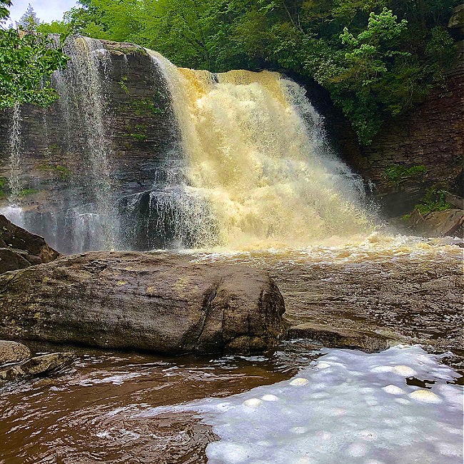 Swallow Falls State Park Day Trip Itinerary