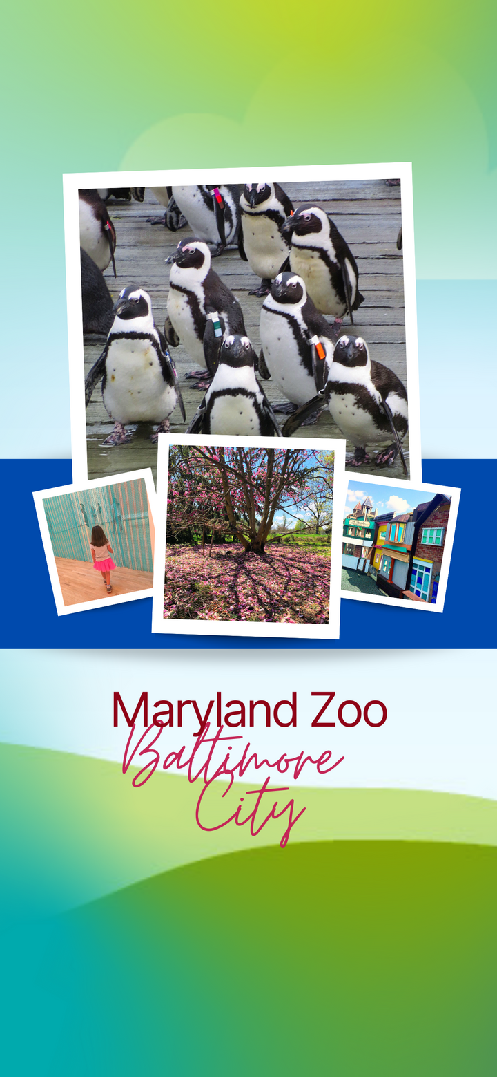 Maryland Zoo Day Trip Itinerary