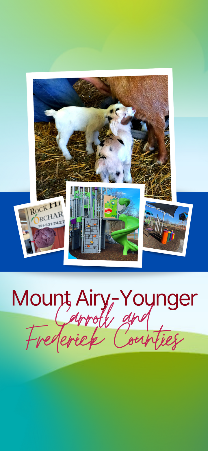 Mount Airy Day Trip Itinerary (Younger Kids)